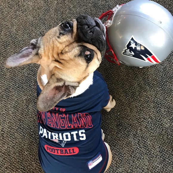 Meet your Posher, Betsy - Picture 7 of 11